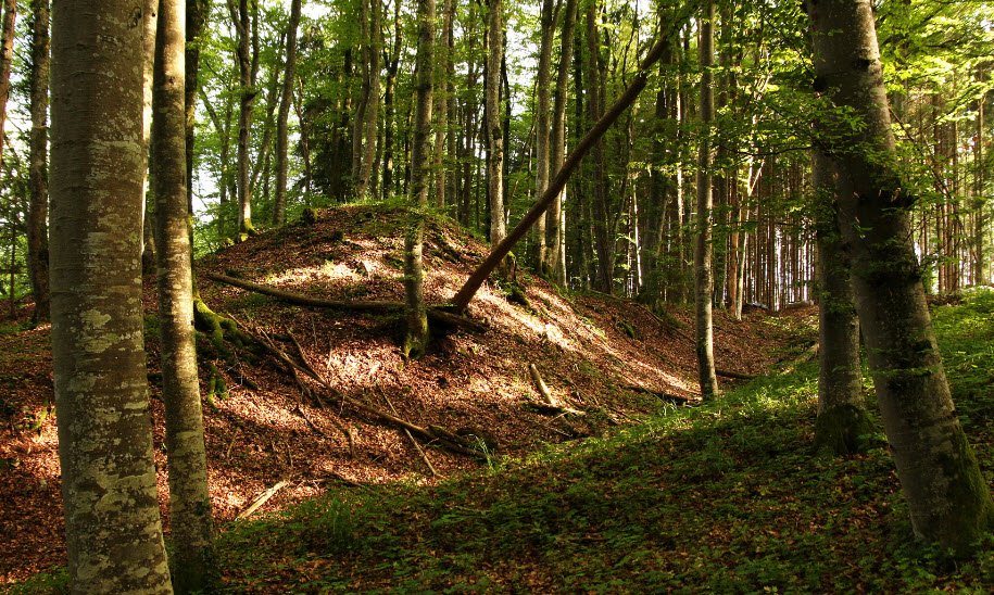 Burgruine Altrietheim, Germany